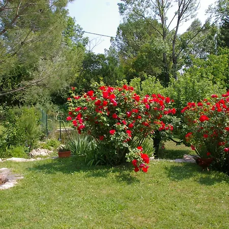 Gite La Paillote Montauroux Exterior photo