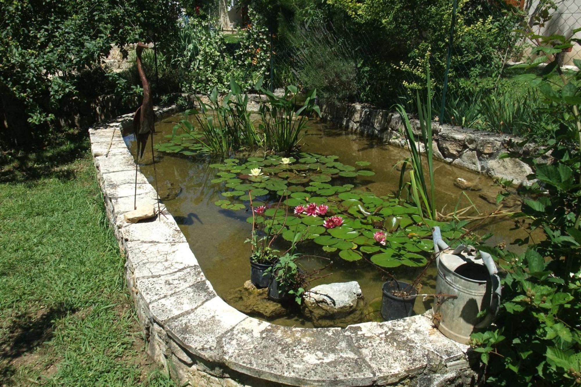 La Paillote Apartment Montauroux