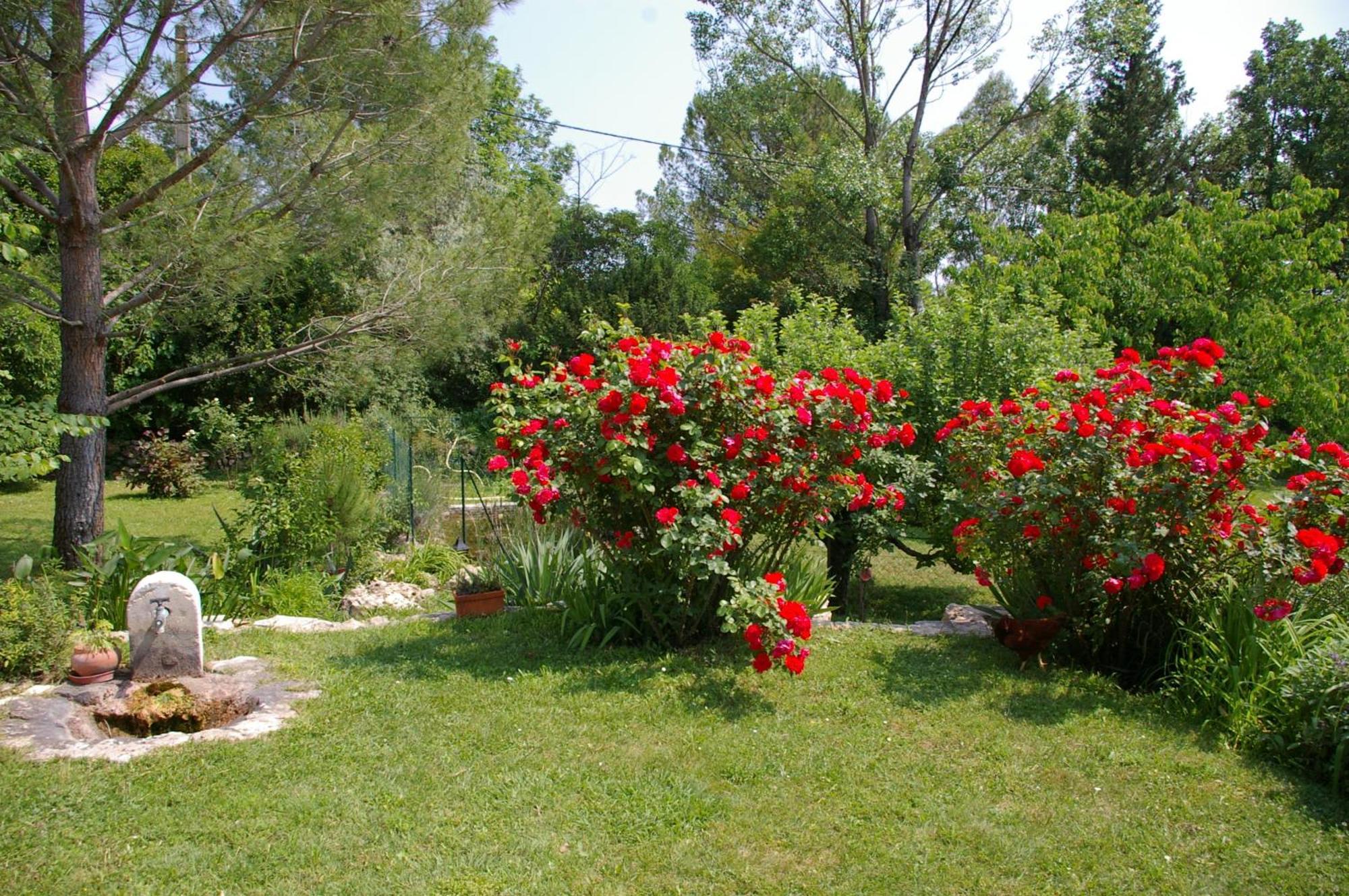 La Paillote